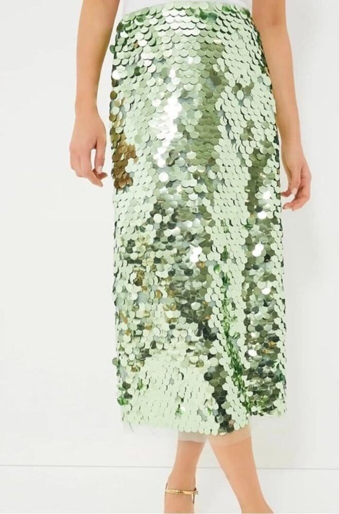 Tuckernuck NWT Mint Chip Remmi Midi Skirt - Size Large