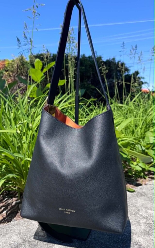 Louis Vuitton Low Key Hobo PM (Currently retailing for $3,600)