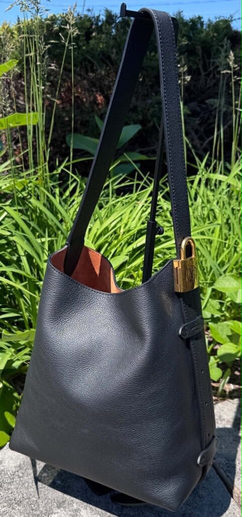 Louis Vuitton Low Key Hobo PM (Currently retailing for $3,600)