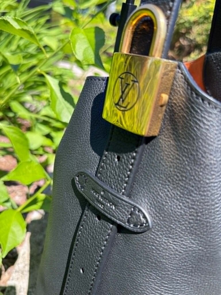 Louis Vuitton Low Key Hobo PM (Currently retailing for $3,600)