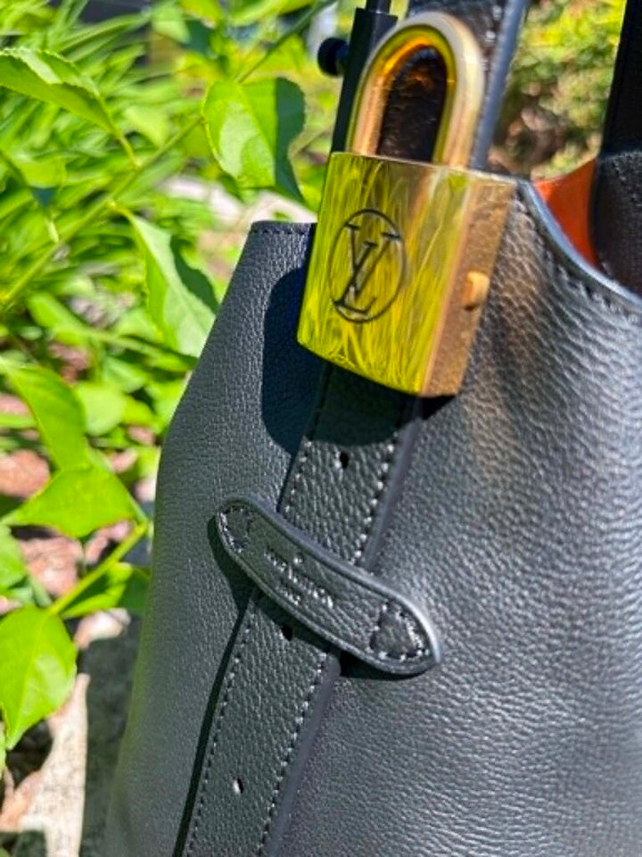 Louis Vuitton Low Key Hobo PM (Currently retailing for $3,600)