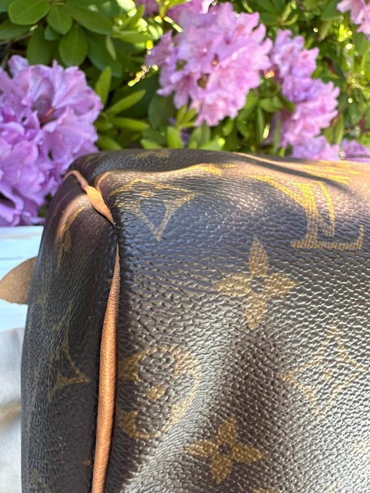 Louis Vuitton Monogram Speedy 25