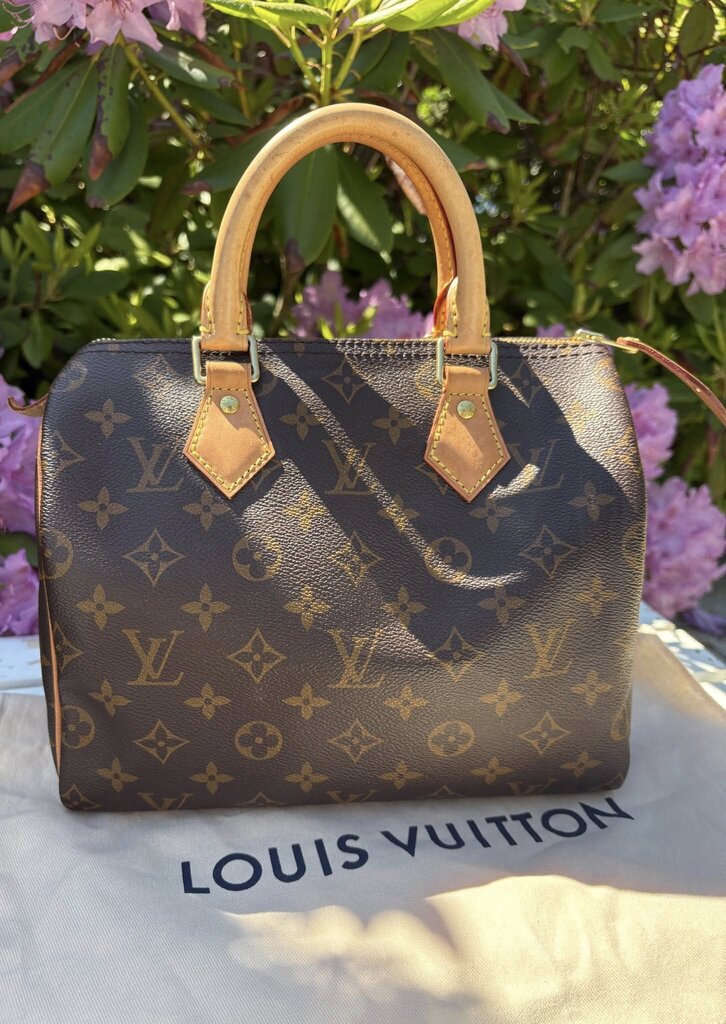 Louis Vuitton Monogram Speedy 25