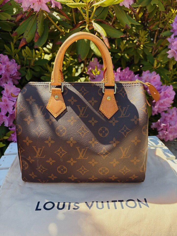 Louis Vuitton Monogram Speedy 25