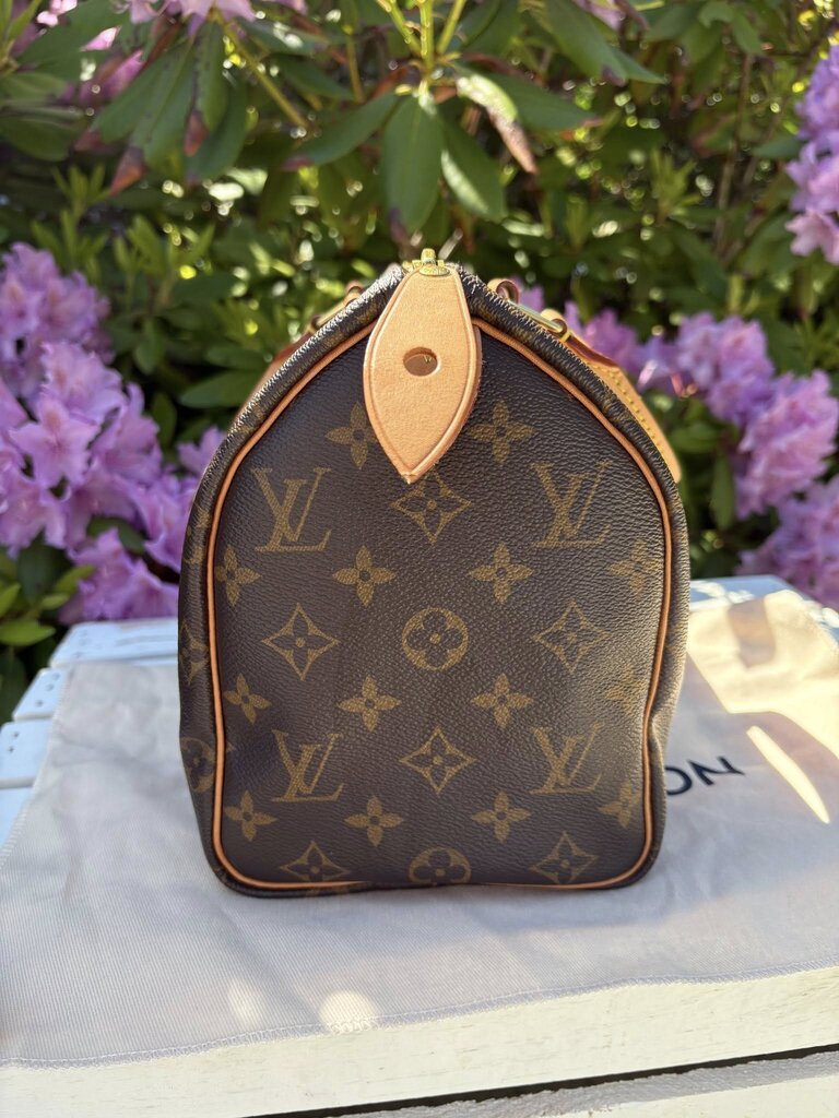 Louis Vuitton Monogram Speedy 25
