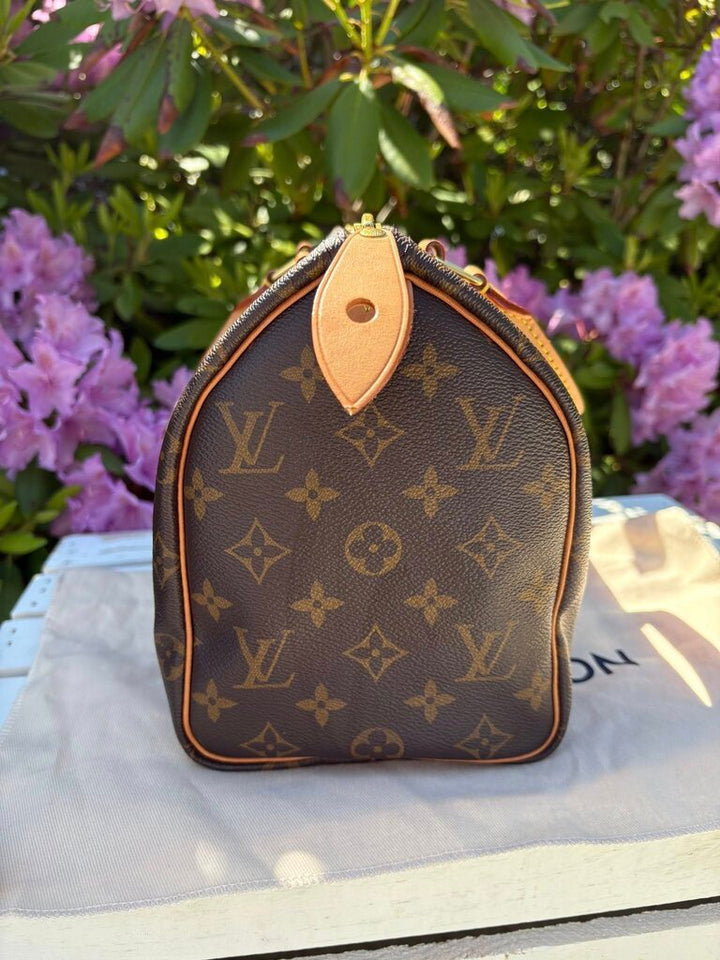 Louis Vuitton Monogram Speedy 25