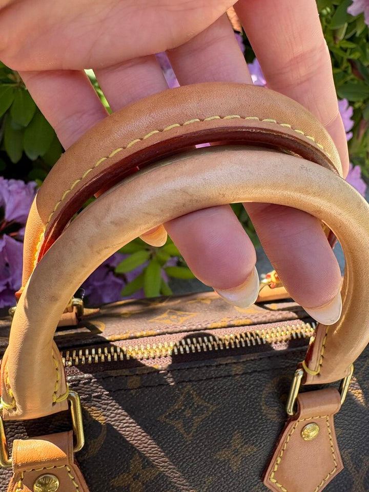 Louis Vuitton Monogram Speedy 25