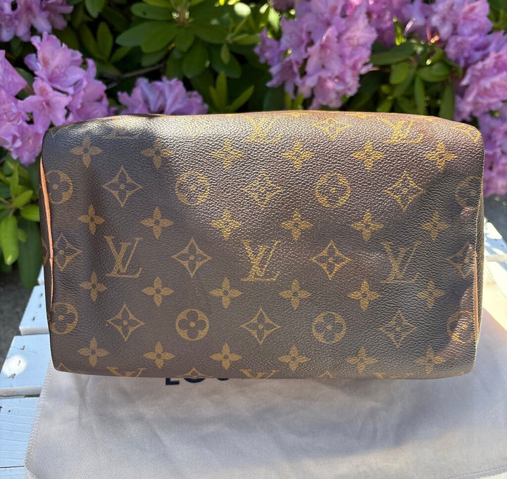 Louis Vuitton Monogram Speedy 25