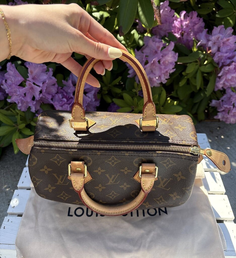 Louis Vuitton Monogram Speedy 25