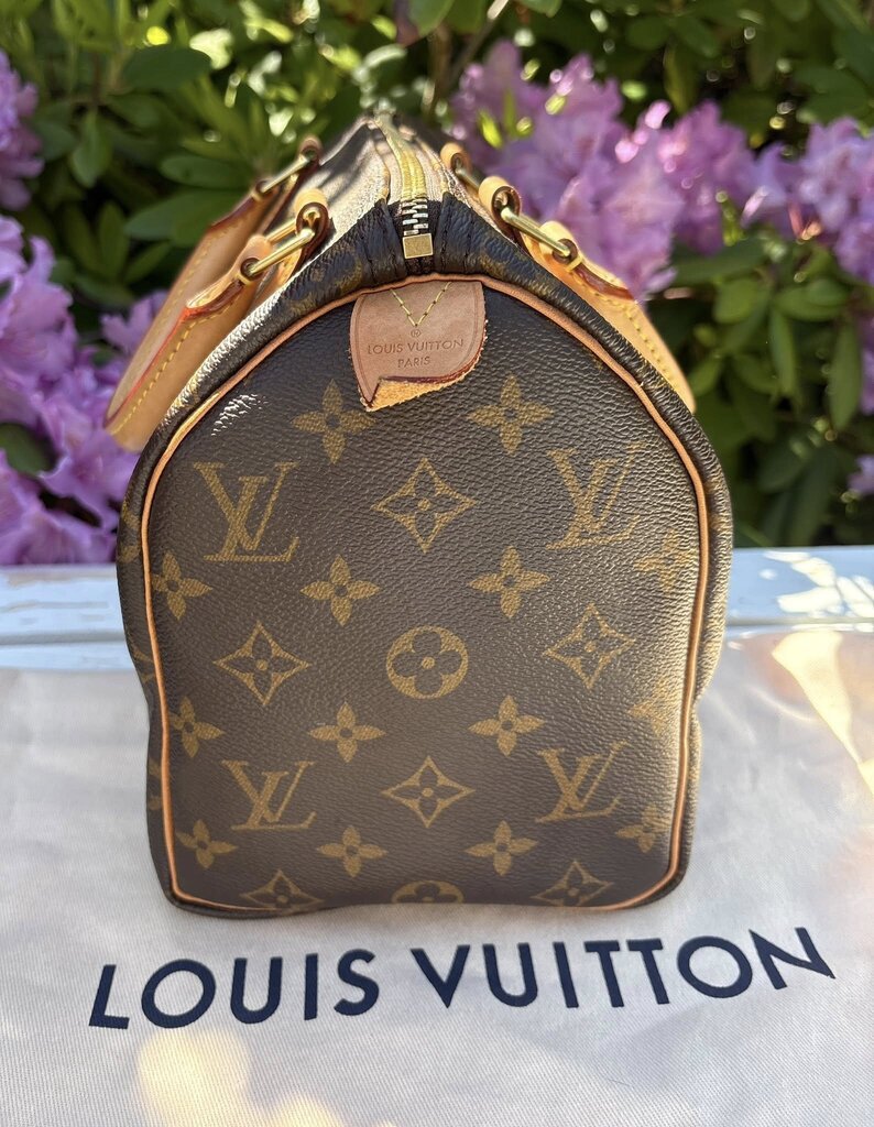 Louis Vuitton Monogram Speedy 25