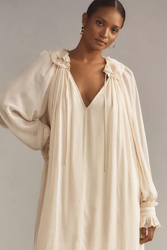 Anthropologie NWT Long-Sleeve Sheer Pleated Midi Dress - Size Large P (Retails for $188)