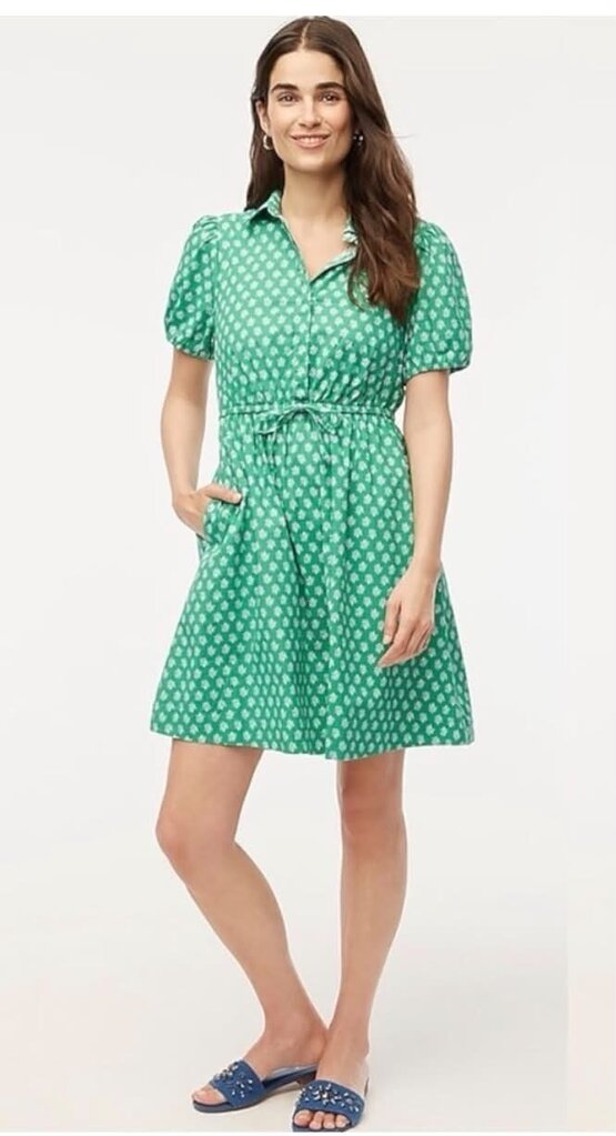 J. Crew Short Sleeve Collared Tie Waist Dress - Size 6