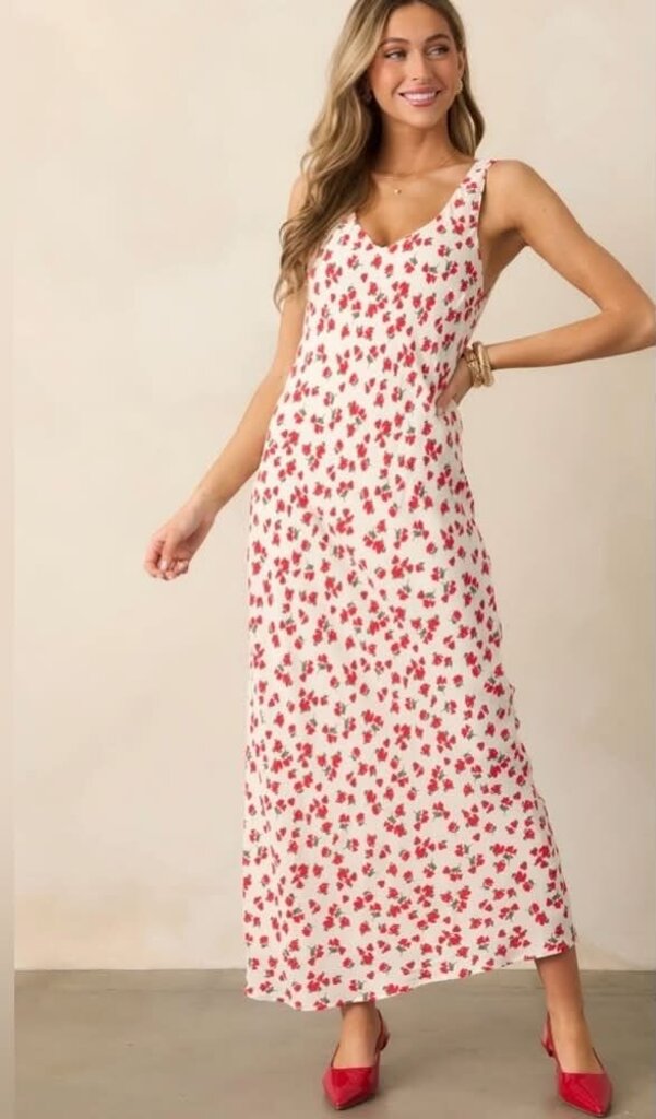 Z Supply Hana La Rosa Maxi Dress - Size XS