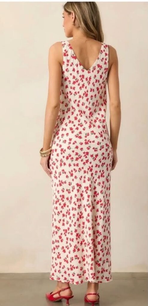 Z Supply Hana La Rosa Maxi Dress - Size XS