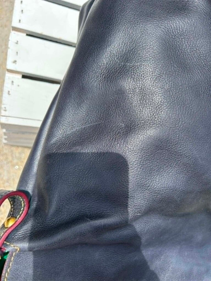 Dooney & Bourke Florentine Small Sloan Bag