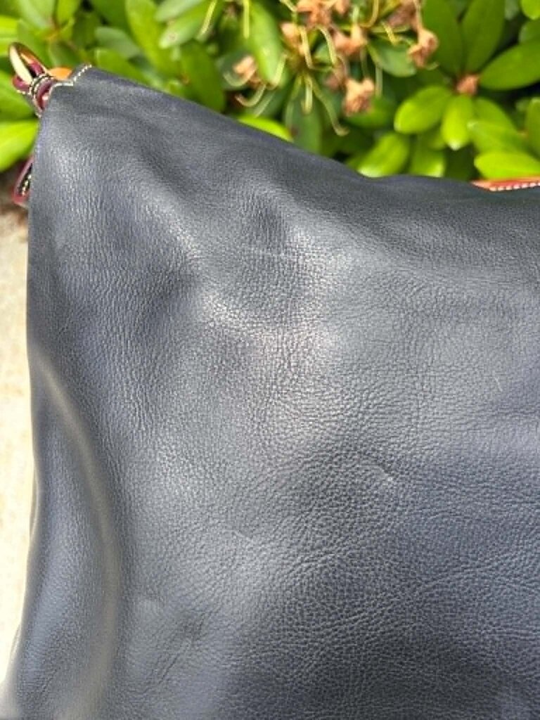 Dooney & Bourke Florentine Small Sloan Bag