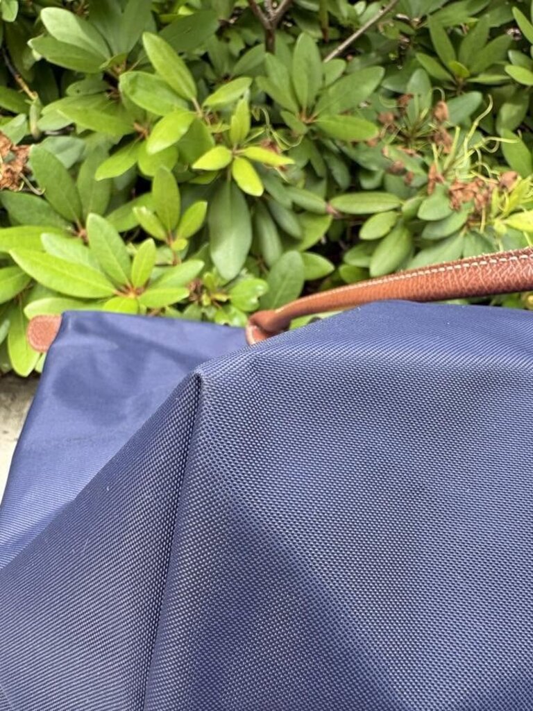 Longchamp Le Pliage Large Miaou Tote