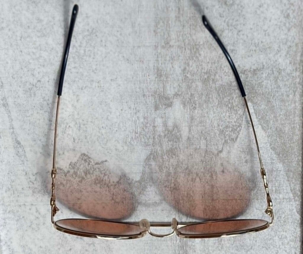 Gucci Round Horsebit Sunnies in Gold (w/ case)