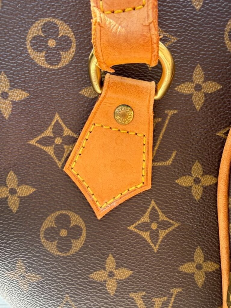 Louis Vuitton Monogram Eclipse GM