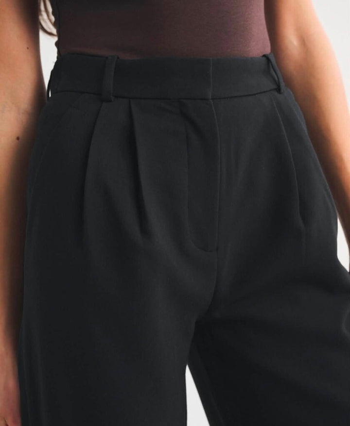 Abercrombie Sloane Tailored Wide Leg Curvy Love Pant - Size 29 (Retails For $90)