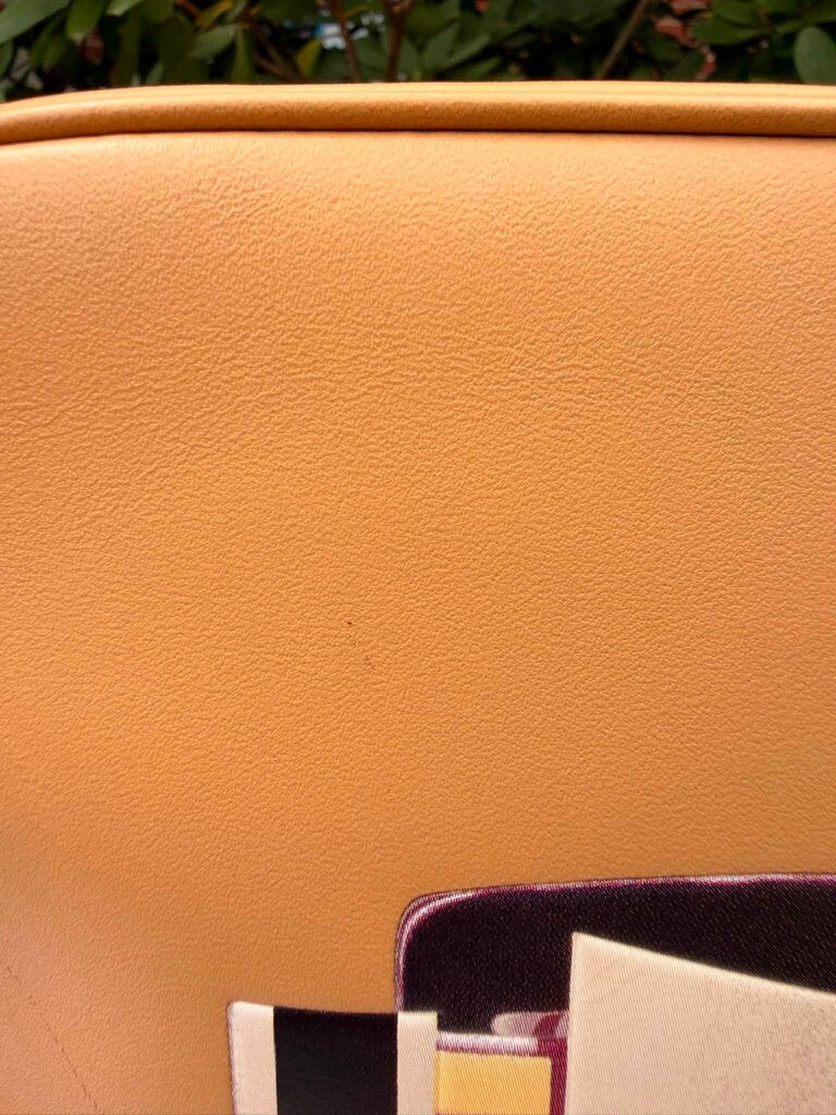 Coach x Tom Wesselmann Flight Bag