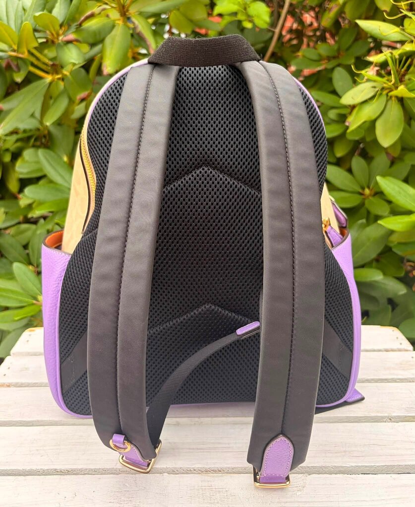 Coach Court Backpack In Signature Canvas