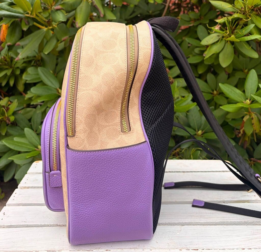 Coach Court Backpack In Signature Canvas
