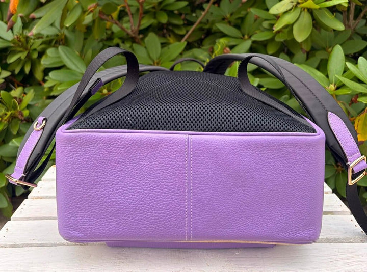 Coach Court Backpack In Signature Canvas