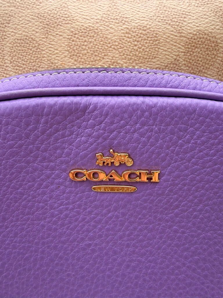 Coach Court Backpack In Signature Canvas
