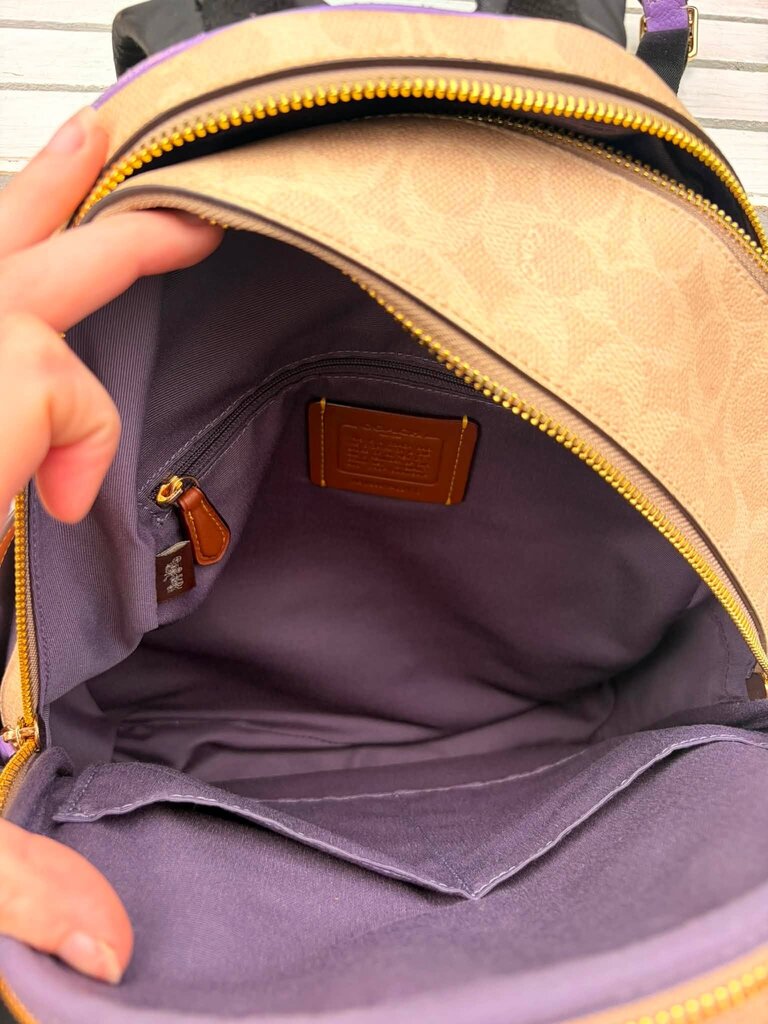 Coach Court Backpack In Signature Canvas