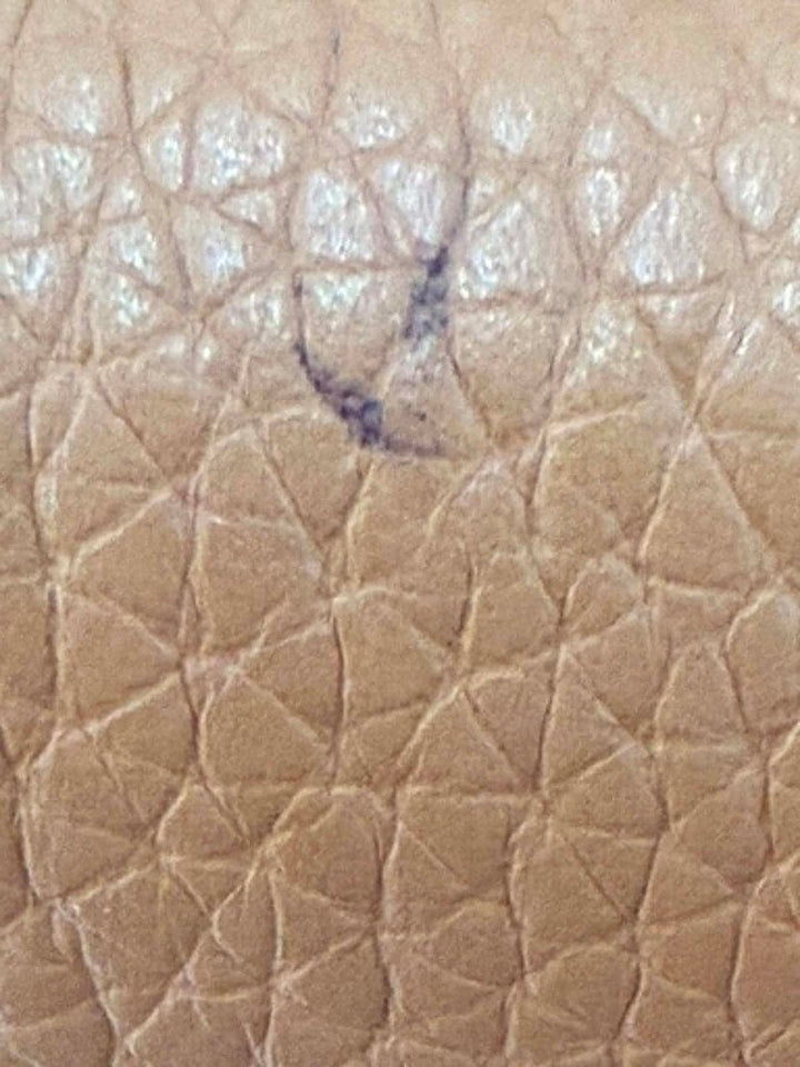 Tory Burch Britten Bark Crossbody Bag