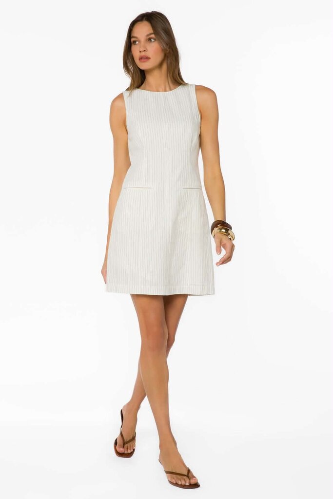 Velvet Heart Matilda Mulch Pinstripe Dress - Size XS (Retails $98)