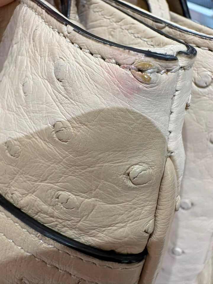 Gucci Large Arli Ostrich Bag