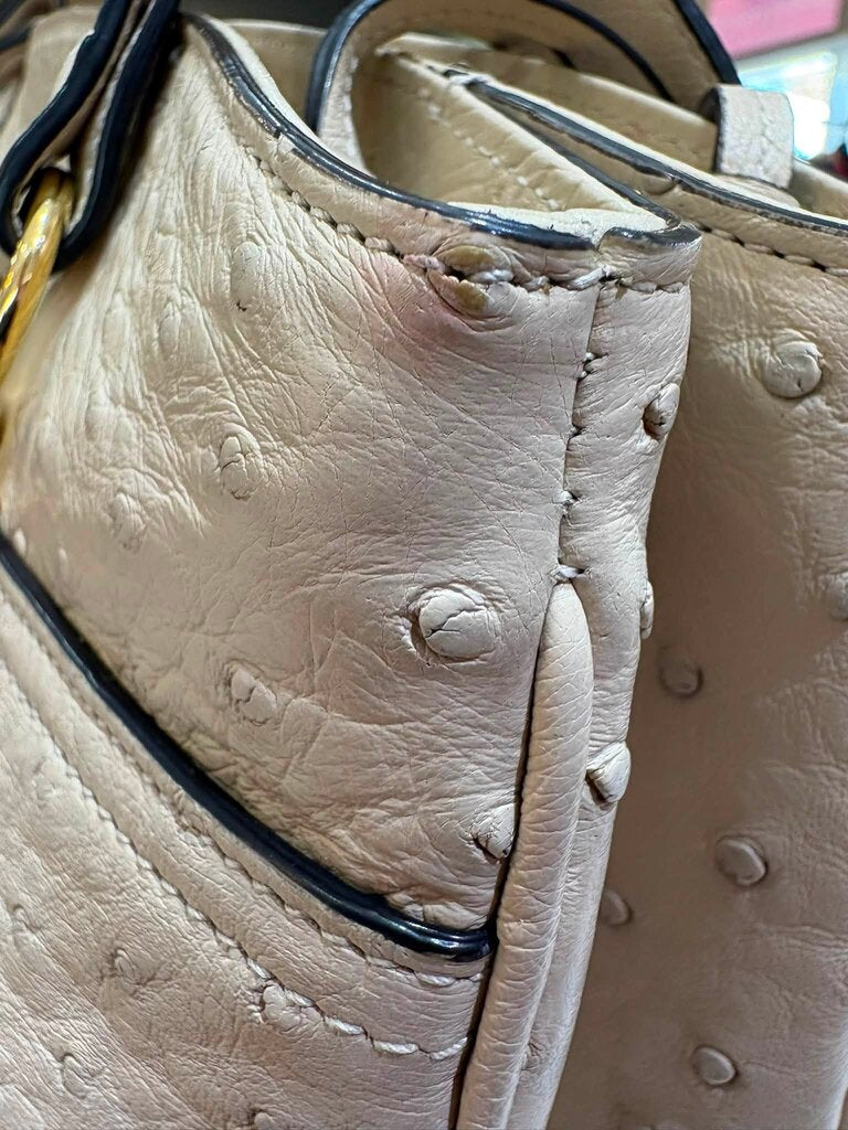 Gucci Large Arli Ostrich Bag
