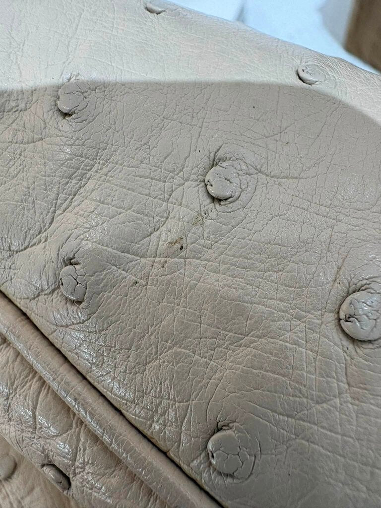 Gucci Large Arli Ostrich Bag