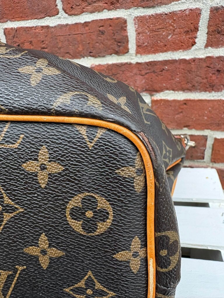 Louis Vuitton Monogram Palermo PM