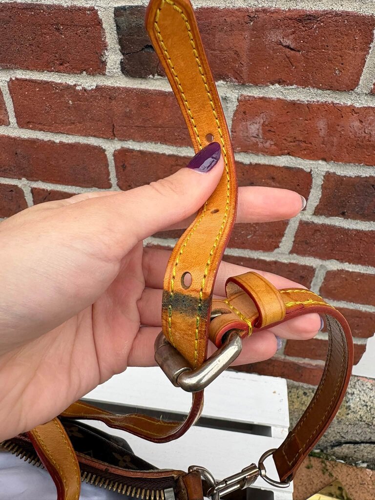 Louis Vuitton Monogram Palermo PM