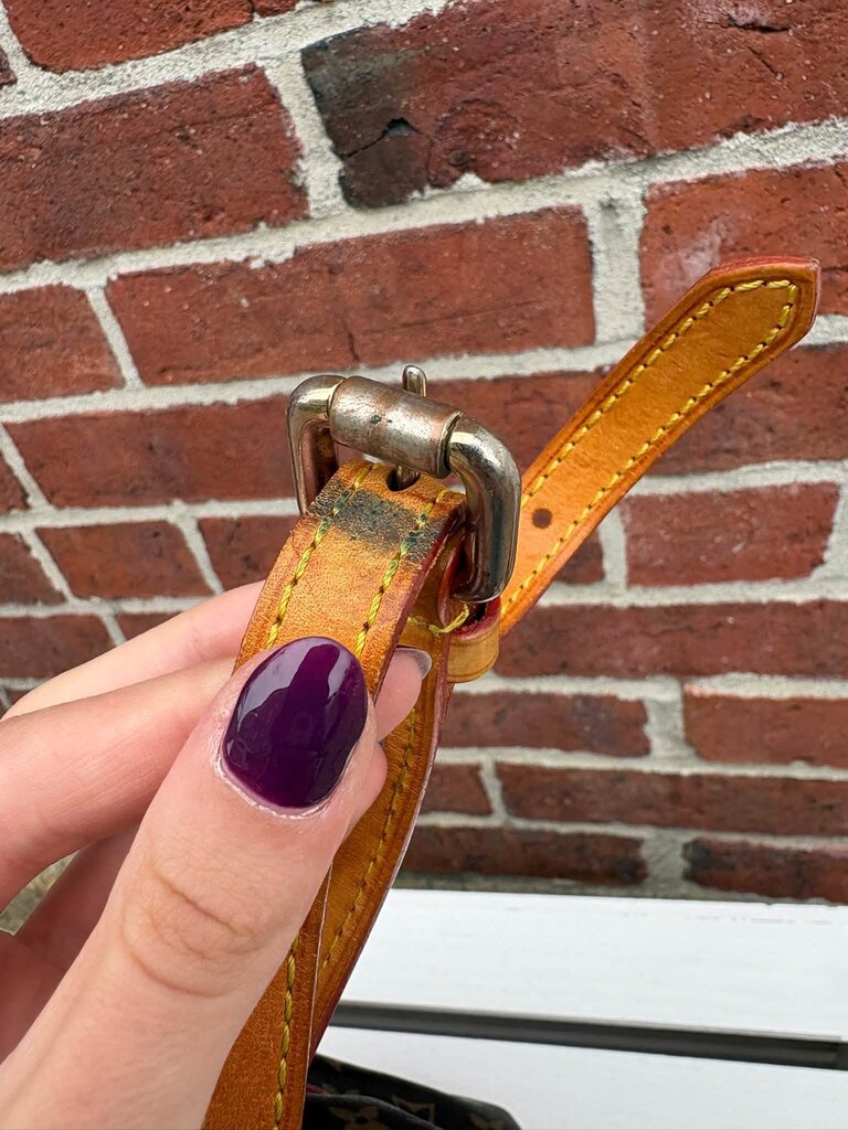 Louis Vuitton Monogram Palermo PM