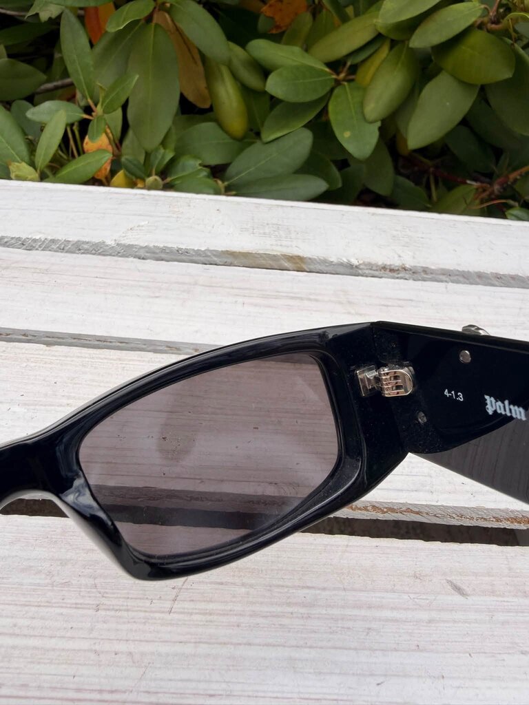 Palm Angels PERI007 Sunnies (w/ case)