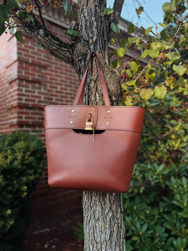 Chloe Aby Leather Small Tote