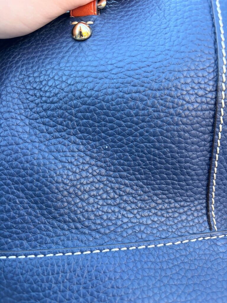 Dooney & Bourke Pebble Grain Chelsea Bag